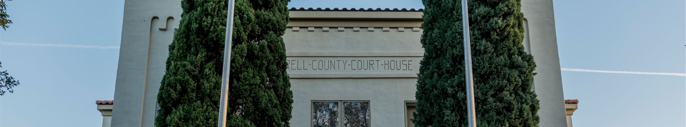 Banner for Terrell County
